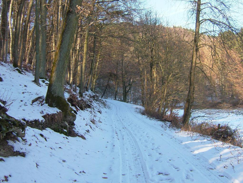 Fliederhof Ferienwohnungen Herresbach Rom bilde