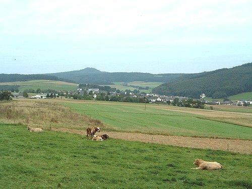 Fliederhof Ferienwohnungen Herresbach Rom bilde