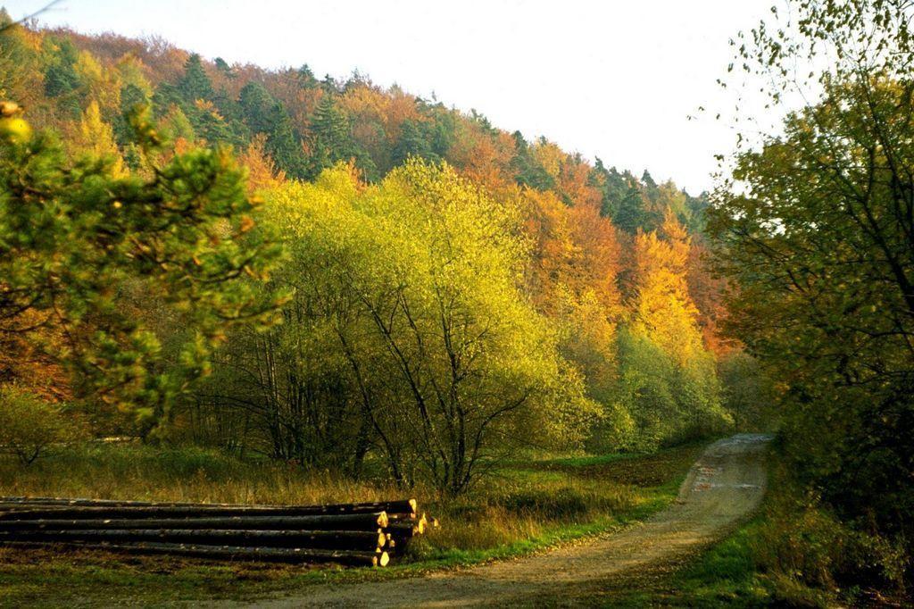 Fliederhof Ferienwohnungen Herresbach Rom bilde